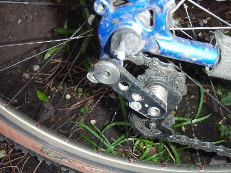 dualspeed083mediumhn0.webp