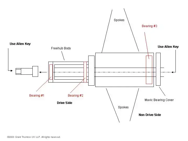 Mavic Freehub.webp