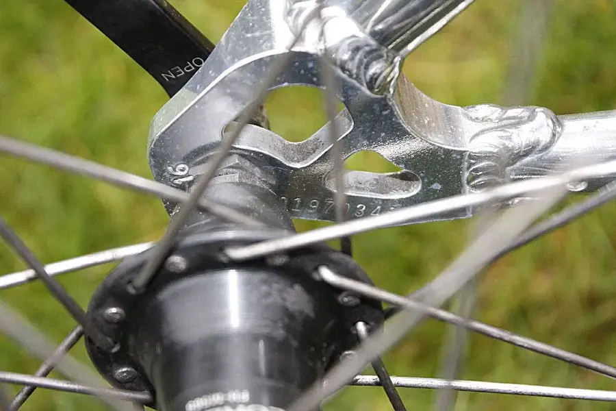Rear Serial.webp