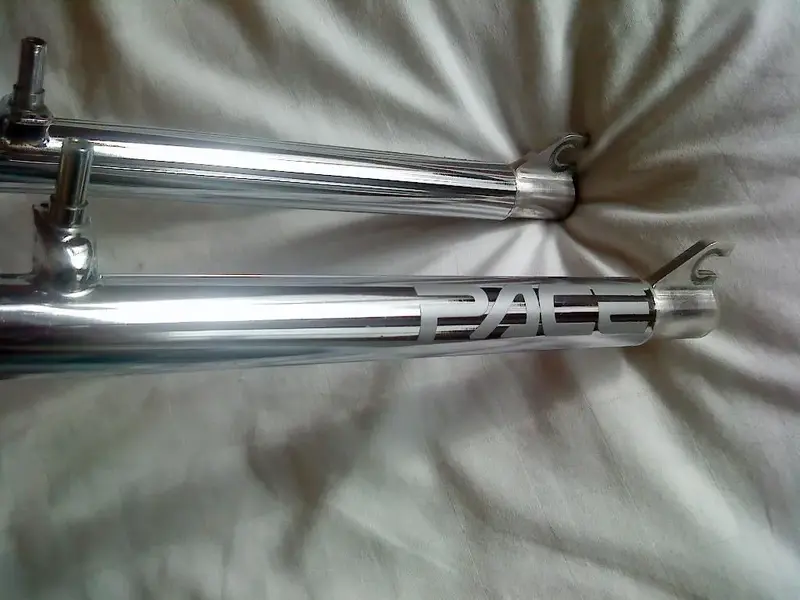 DSC00443 (Large).webp