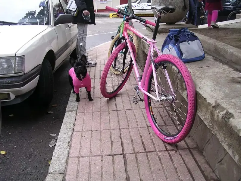 DSCN1401.webp