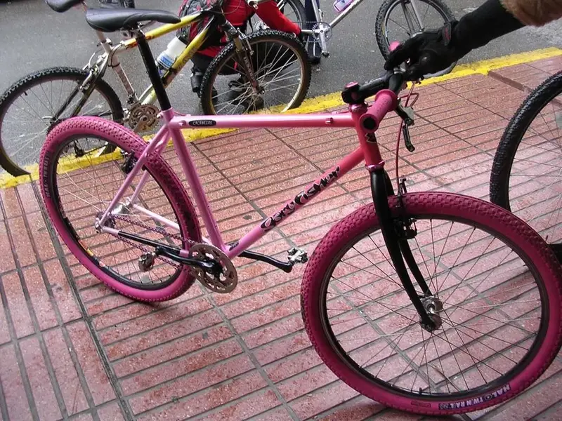 DSCN1379.webp