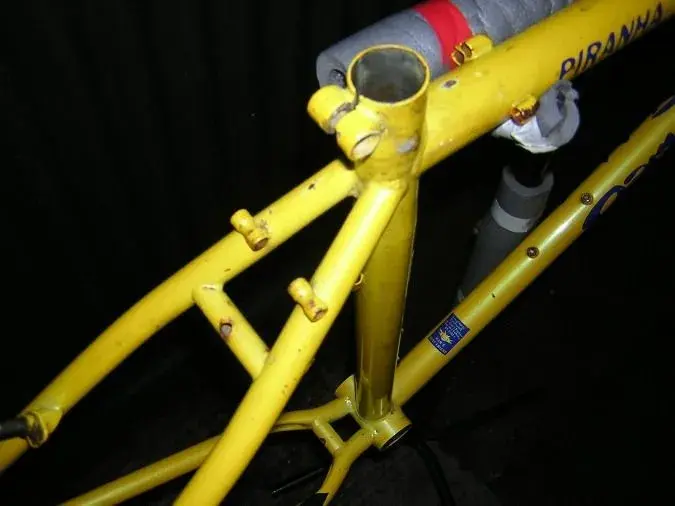 DSCN1681.webp