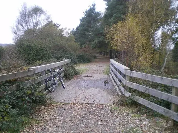 local nf ride 001resize.webp