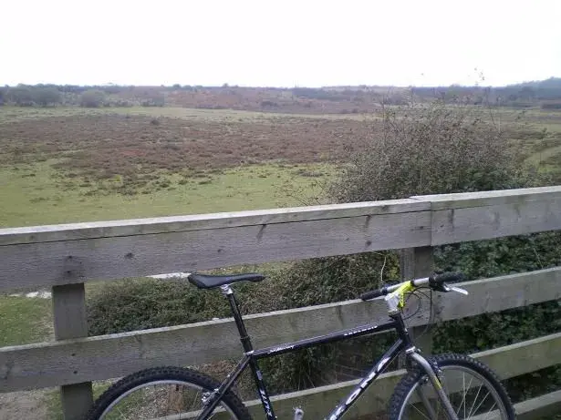 local nf ride 005resize.webp