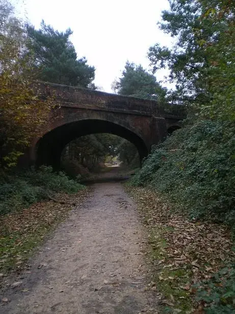 local nf ride 007resize.webp