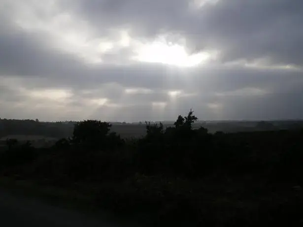 local nf ride 013resize.webp