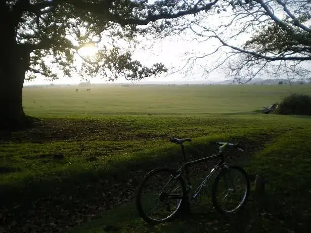 local nf ride 022resize.webp