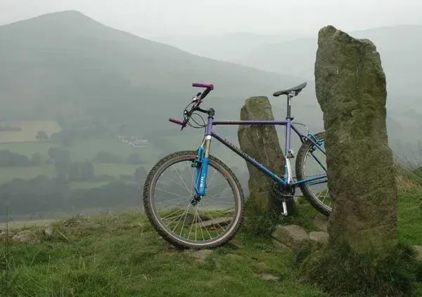 Purple Shaver in the Peaks 08.webp