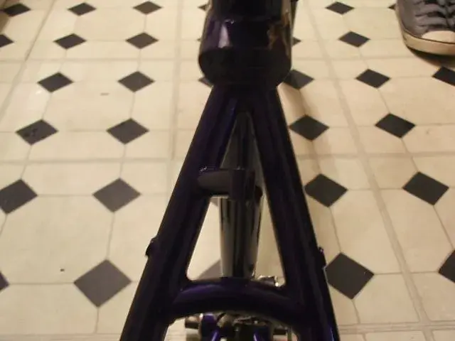 DSCF0991.webp