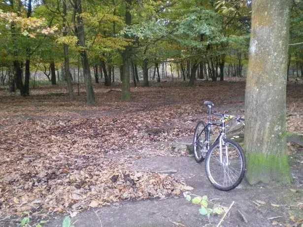 hack ride! 001resize.webp
