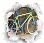 voyeur.webp