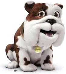 dog.webp