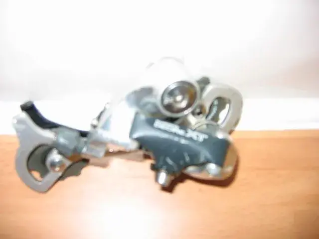 139_3951.webp