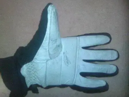 LH Glove.webp