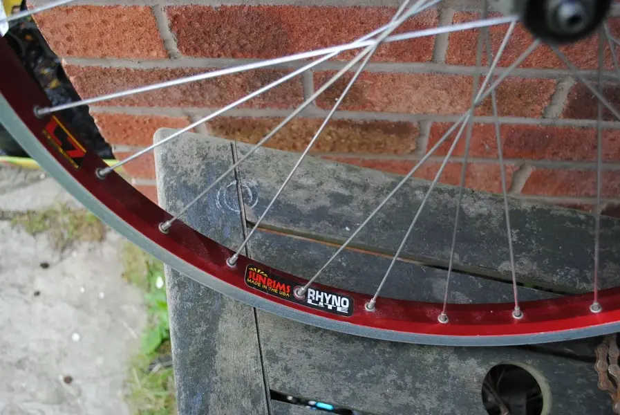 sun rim.webp