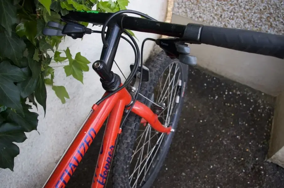 IMGP5242.webp