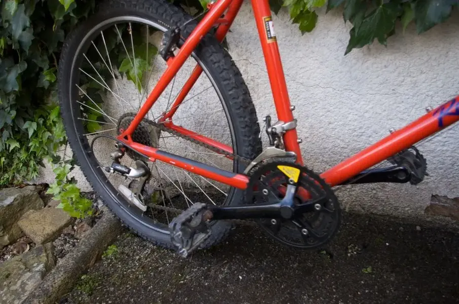IMGP5244.webp