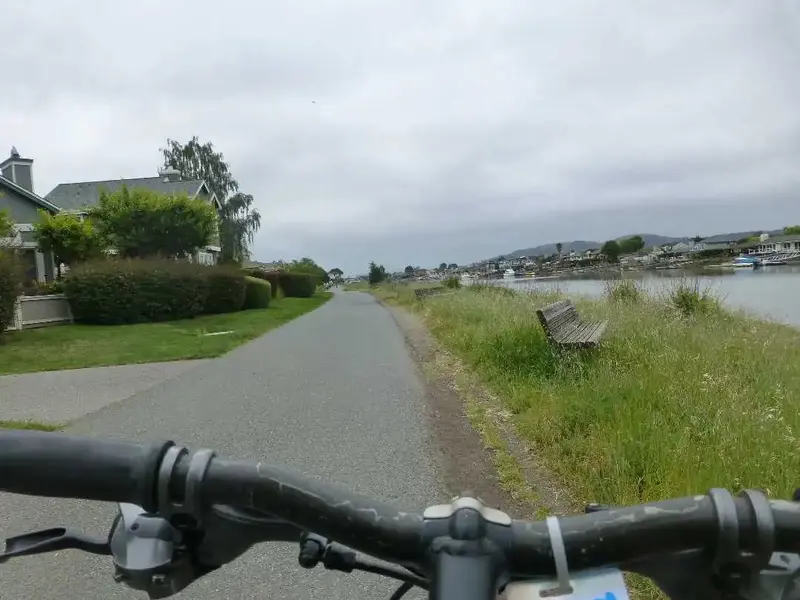 Near SF Bay.webp