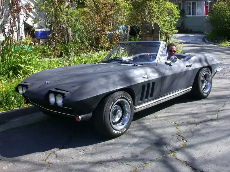 65 Stingray.webp