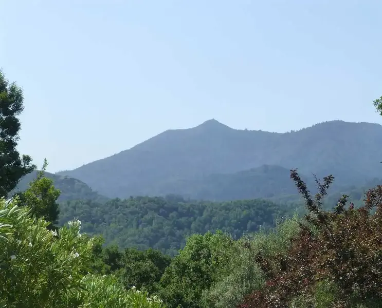 looking south at Tam.webp