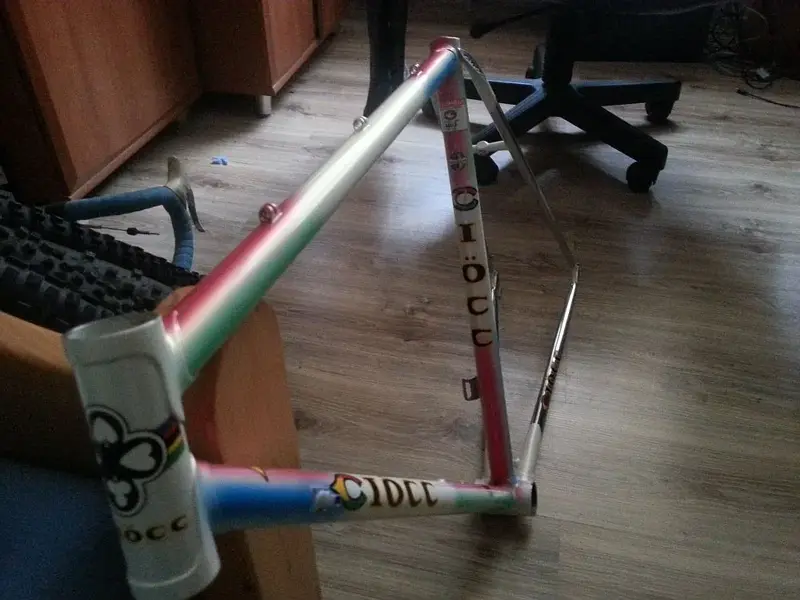 ciocc.webp