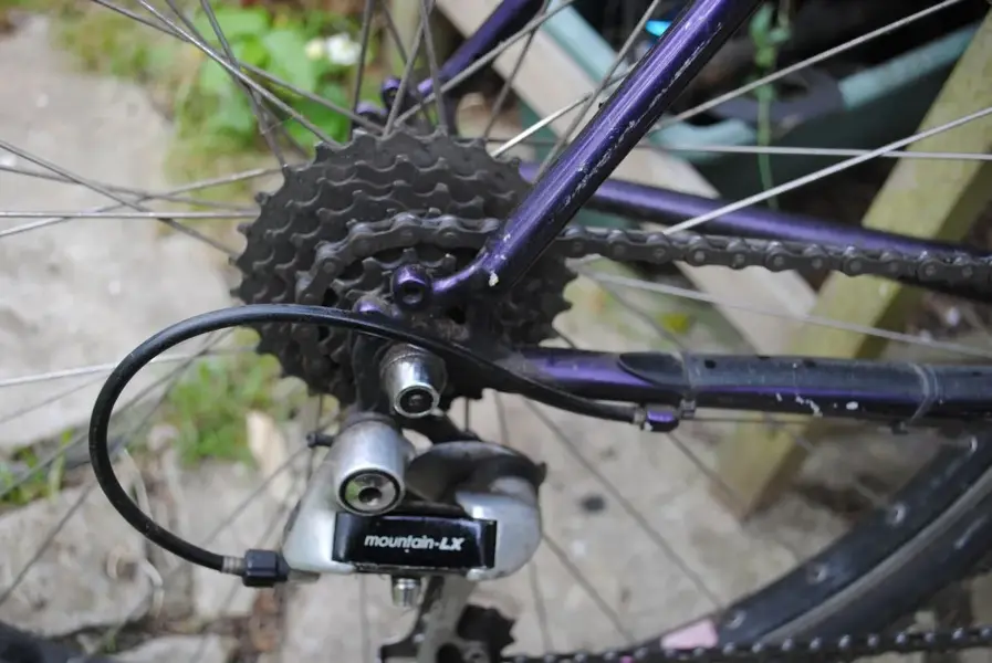 mystery marin 1.webp