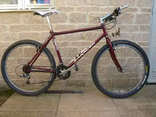 saracen.webp
