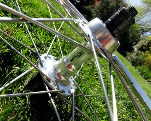 wheel2.webp
