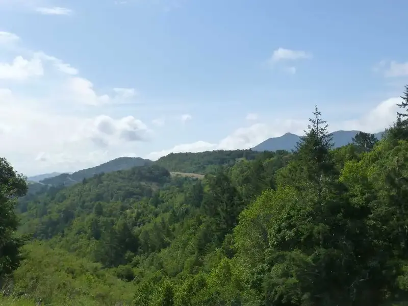 View from 900'.webp