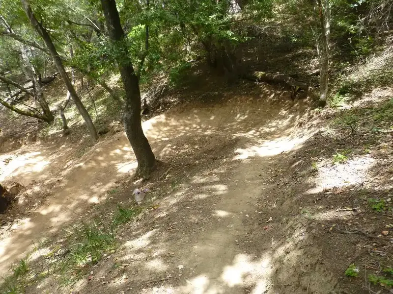 Part of the way down.webp