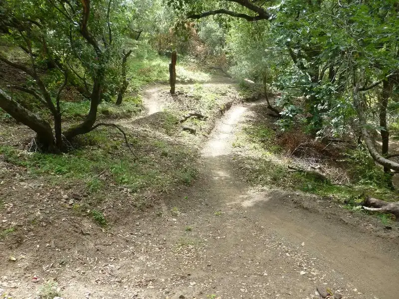 New Trail near the start.webp