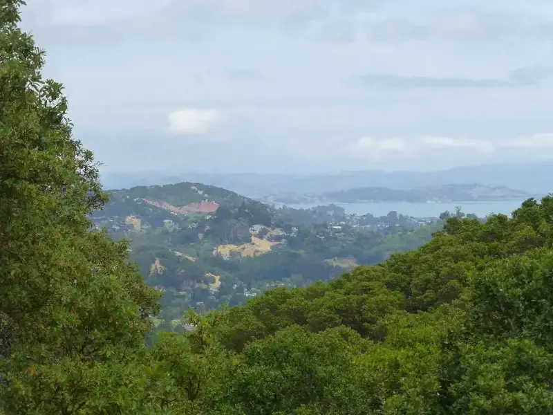 Red Hill and SF Bay.webp
