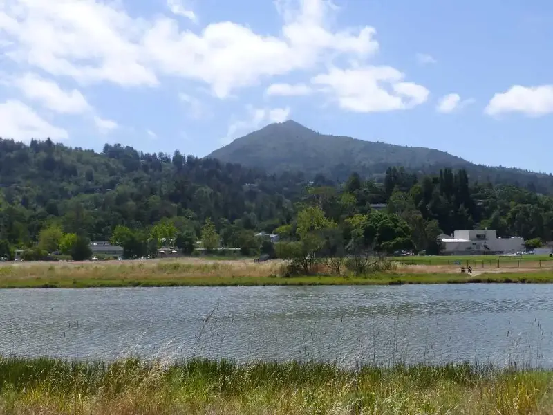 Tam from CM Creek.webp
