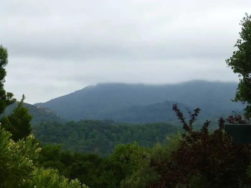 Cloudy Mt. Tam.webp