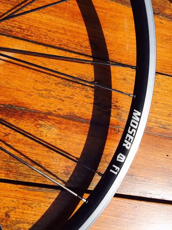 Moser F1 6.webp