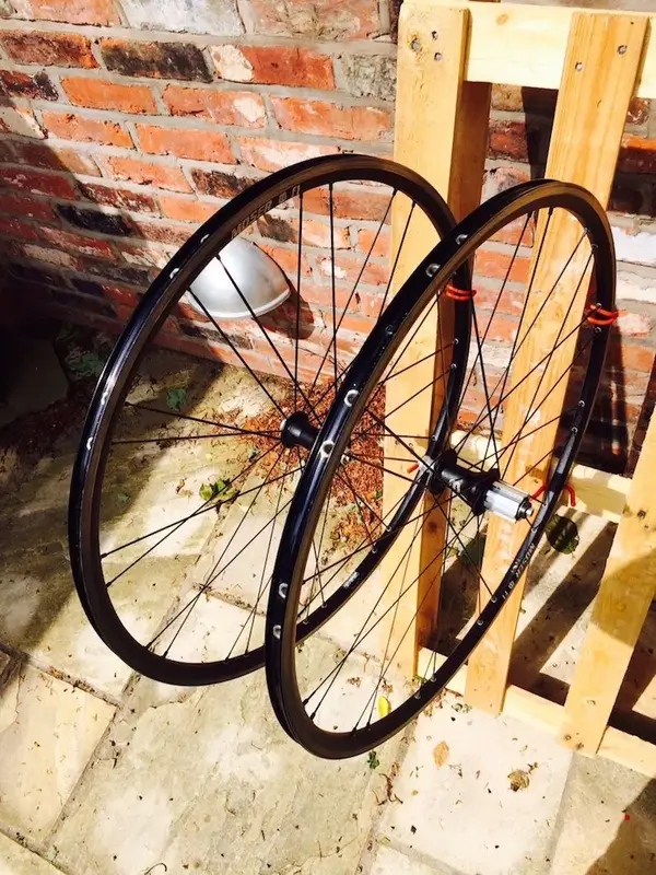 Moser F1 1.webp