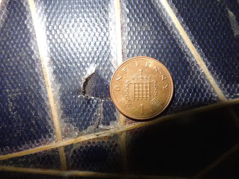 Penny Non Drive Side tear.webp