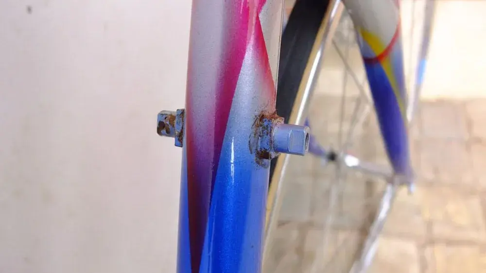 DSCF2077.webp