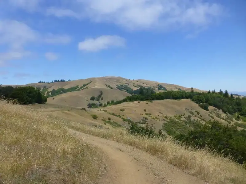 Down the ridge.webp