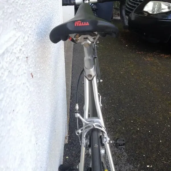 image1.webp
