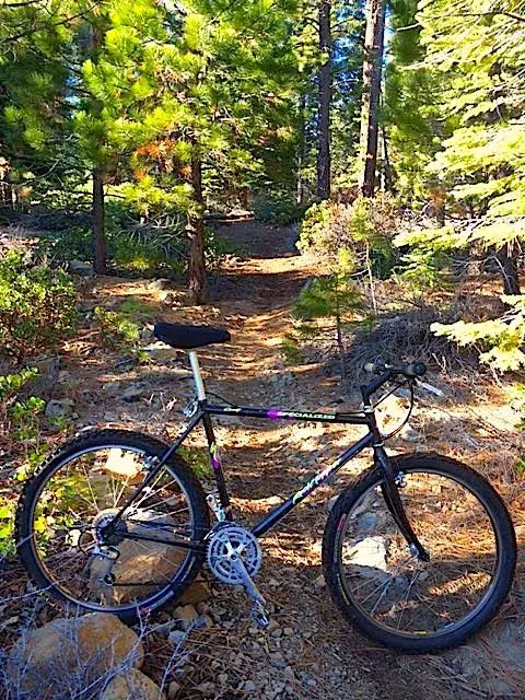 2015 2nd ride Spec.webp