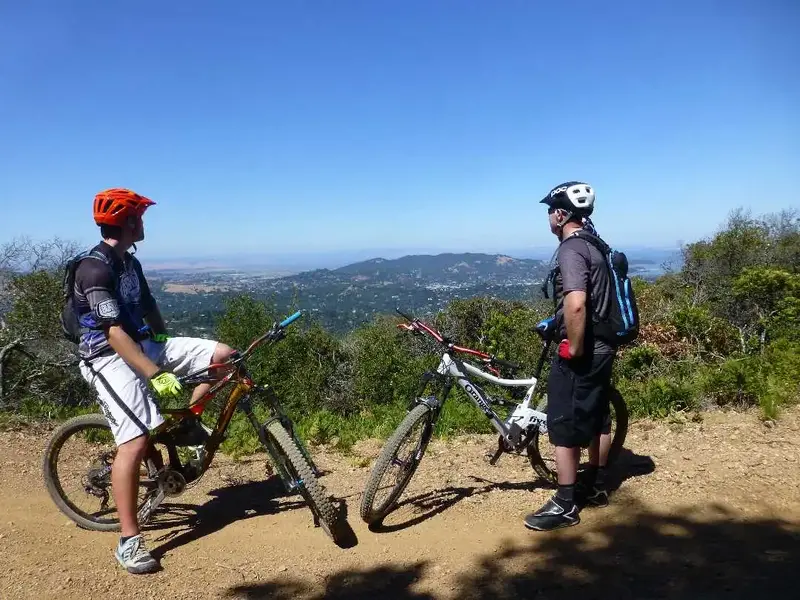 1200' up.webp