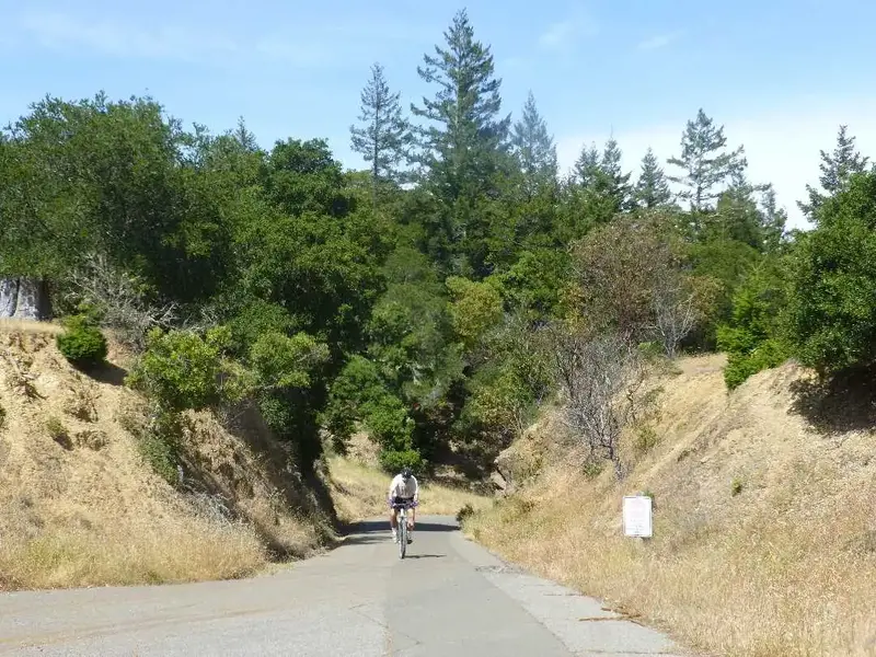 Really Steep.webp