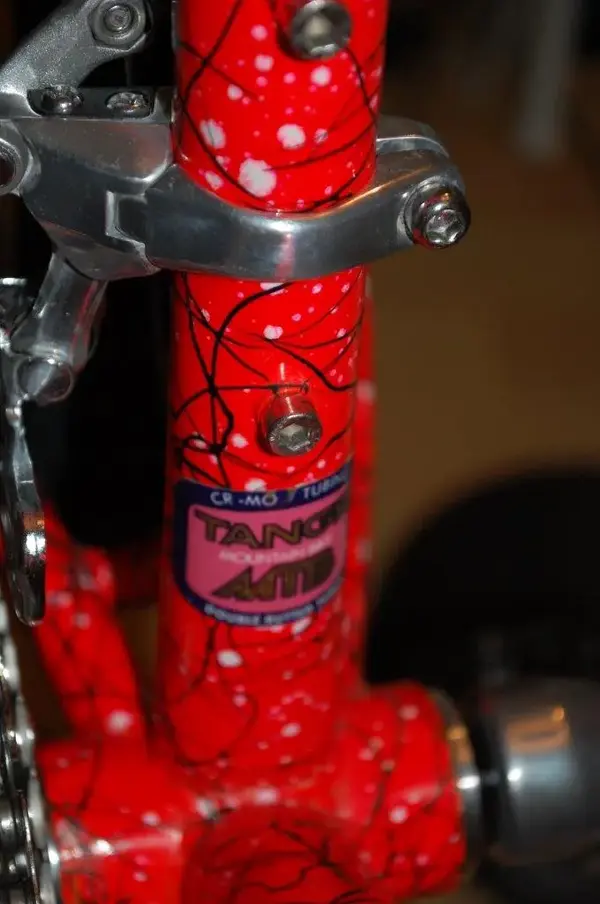 DSC_0265.webp