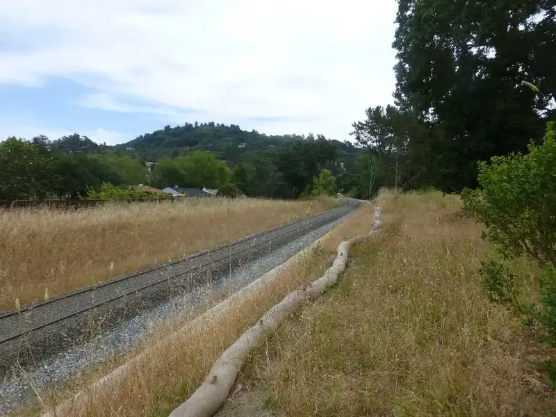 Terra Linda Tracks.webp