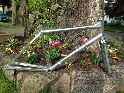 frame polished(resized).webp