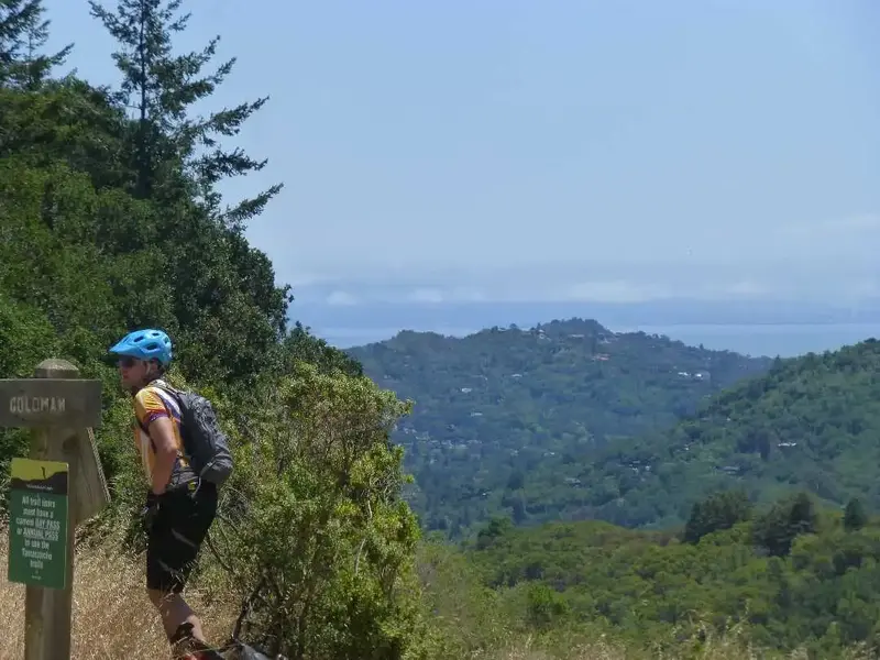 SF Bay Yonder.webp