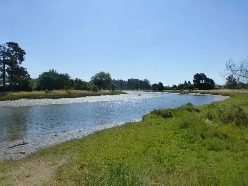Along the Creek.webp