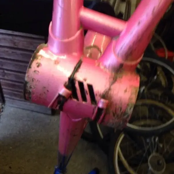 image.webp